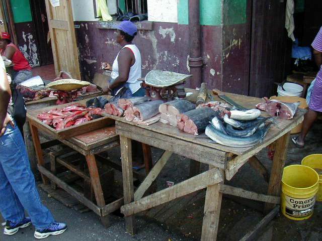 Grenada Fischmarkt