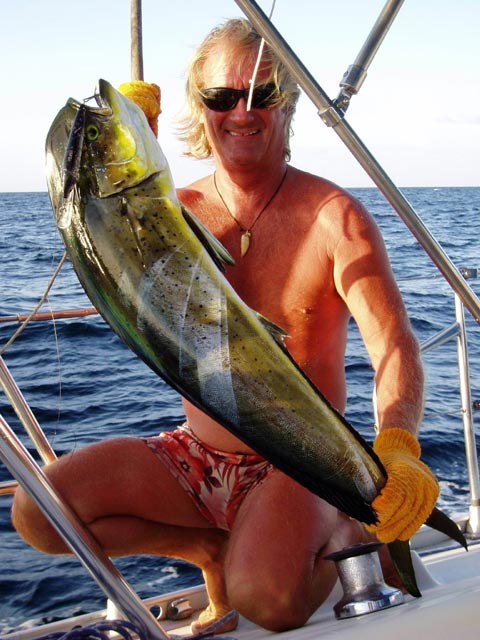 Prachtexemplar Walter